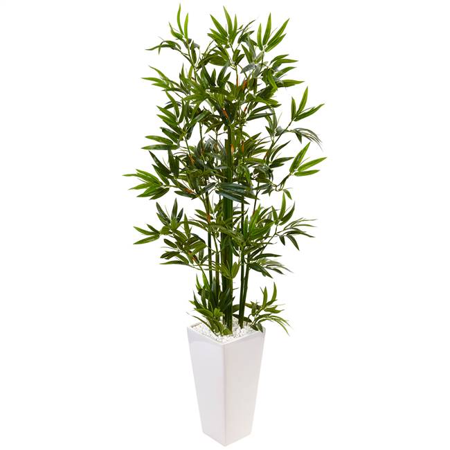 4.5’ Bamboo Tree in White Tower Planter