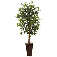 5.5’ Ficus Tree w/Bamboo Planter