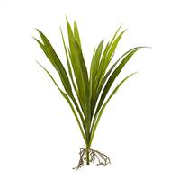 15" Grass Artificial Plant (Set of 6)