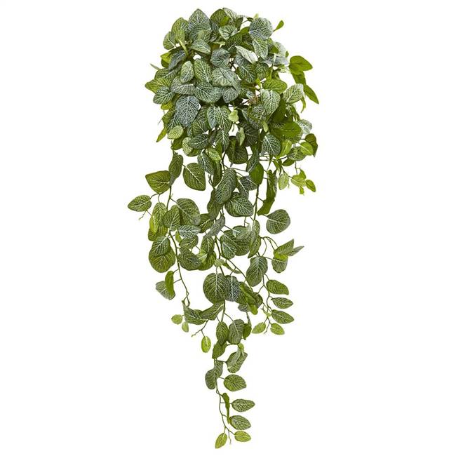 36” Fittonia Hanging Bush Artificial Plant (Set of 2) (Real Touch)