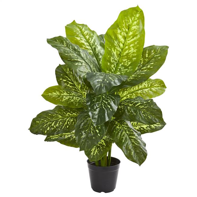 34” Dieffenbachia Artificial Plant (Real Touch)