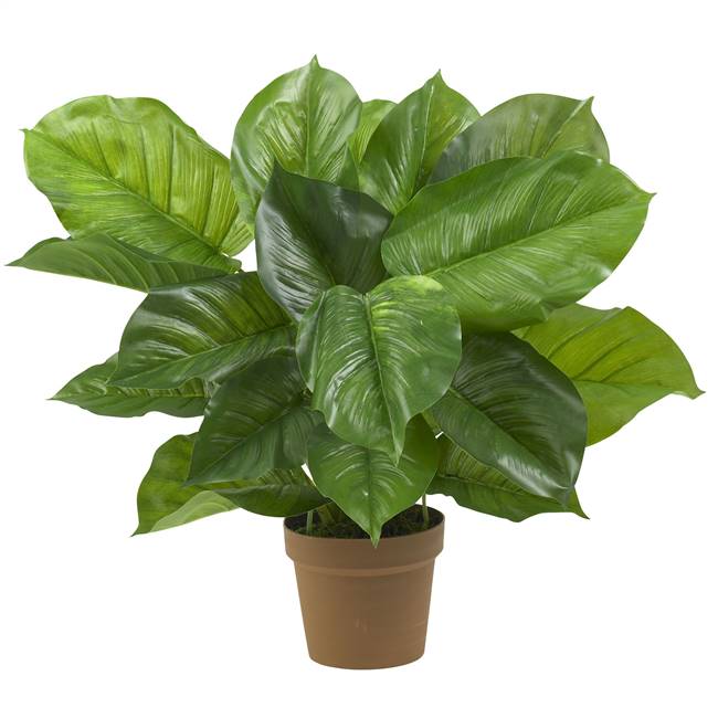 Large Leaf Philodendron Silk Plant (Real Touch)