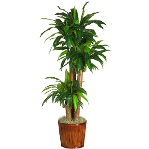 62" Dracena w/Basket Silk Plant (Real Touch)