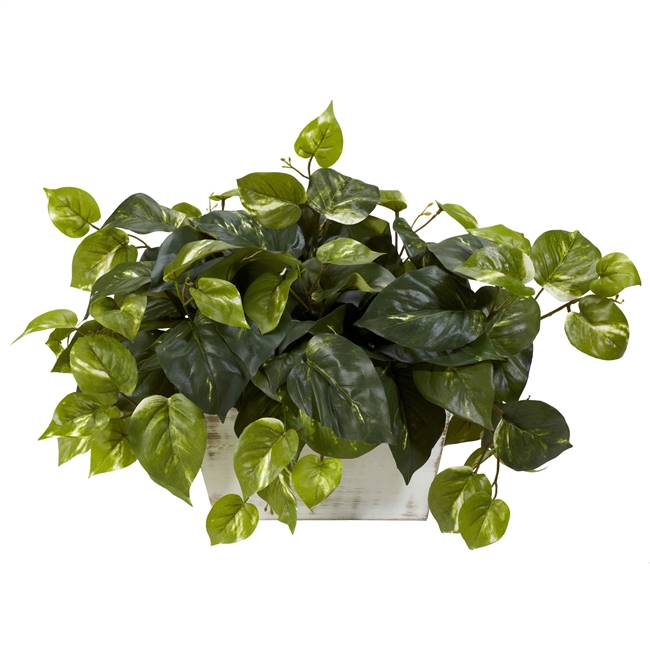 Pothos w/White Wash Planter Silk Plant