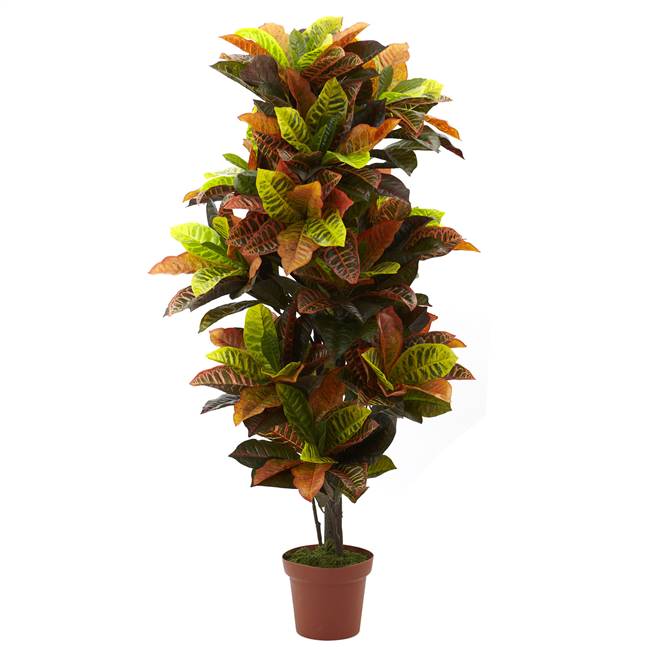 56” Croton Plant (Real Touch)