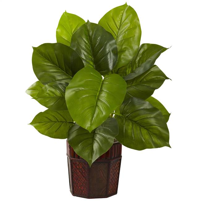 Large Leaf Philodendron w/Decorative Planter (Real Touch)