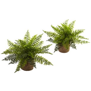 15” Ruffle Fern Bush w/Burlap Base (Set of 2)