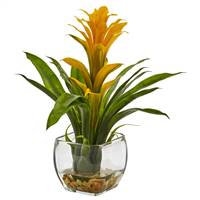 Bromeliad with Vase Arrangement