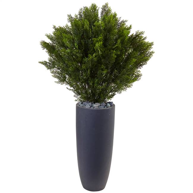 4’ Cedar in Cylinder Planter (Indoor/Outdoor)