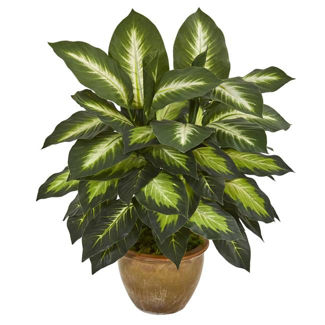 Dieffenbachia Artificial Plant in Ceramic Planter