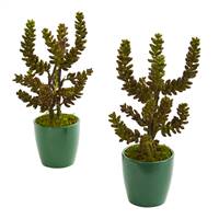 Succulent Artificial Plant in Green Pot (Set of 2)