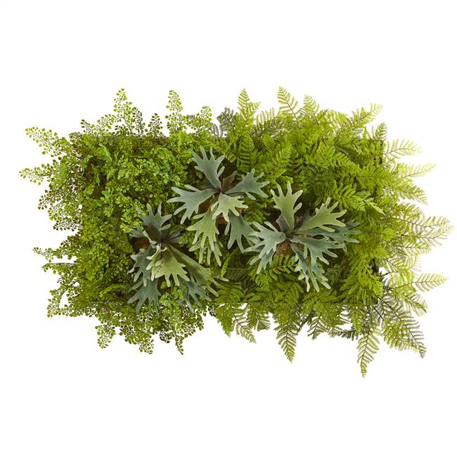 38 x 23” Staghorn and Fern Artificial Living Wall