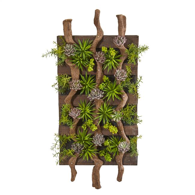 41” x 19” Mixed Succulent Artificial Living Wall