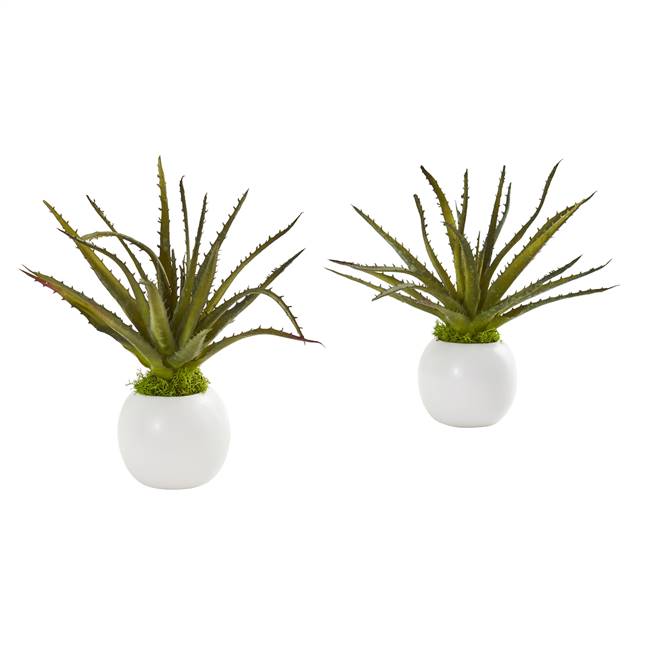 10” Mini Aloe Succulent Artificial Plant in White Vase (Set of 2)