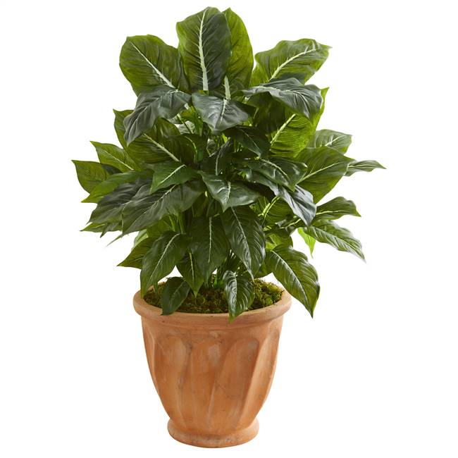 30” Evergreen Artificial Plant in Terracotta Planter (Real Touch)
