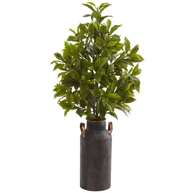 32” Coffee Leaf Artificial Plant in Decorative Canister (Real Touch)