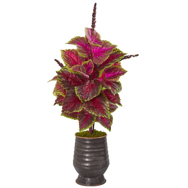 32” Coleus Artificial Plant in Decorative Planter