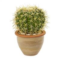 10” Cactus Artificial Plant in Decorative Ceramic Planter