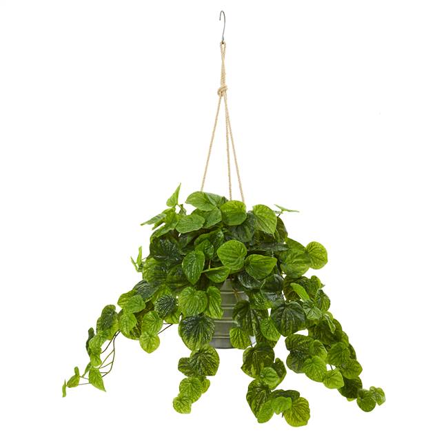 30” Peperomia Artificial Plant in Hanging Bucket (Real Touch)