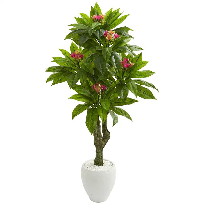 5.5’ Plumeria Artificial Tree in White Planter UV Resistant (Indoor/Outdoor)