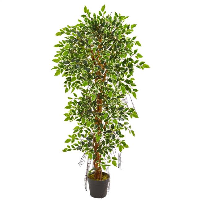 5’ Elegant Ficus Artificial Tree