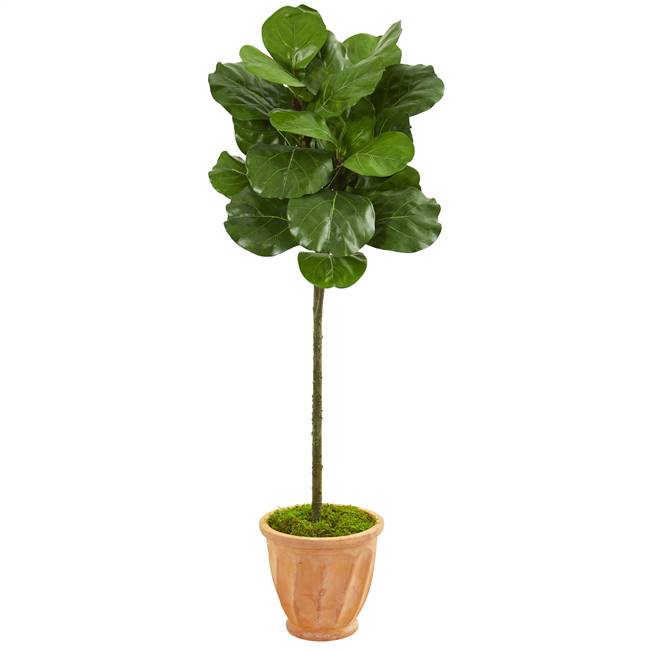 57” Fiddle Leaf Artificial Tree in Terra Cotta Planter