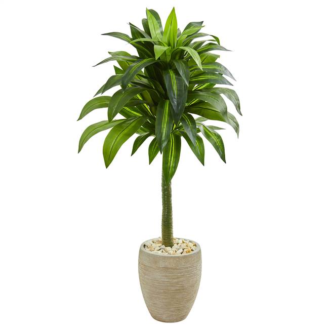 52” Dracaena Artificial Plant in Sand Colored Planter