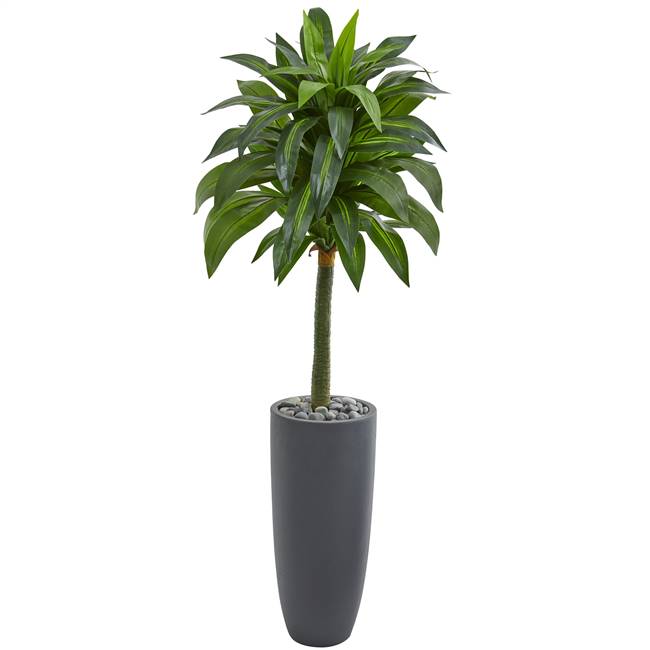 5’ Dracaena Artificial Plant in Gray Planter