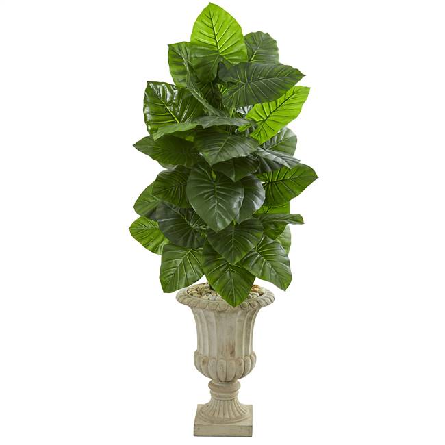 5’ Taro Artificial Plant in Sand Finished Urn