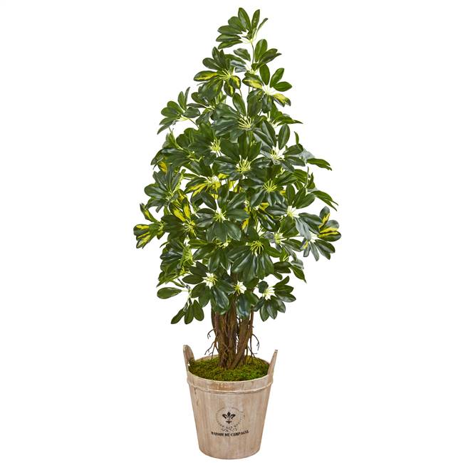 4.5’ Schefflera Artificial Tree in Farmhouse Planter