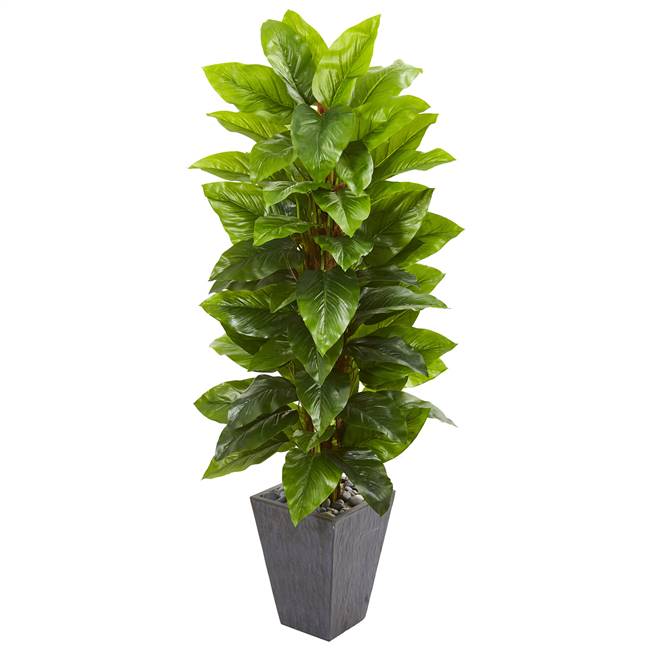 5’ Large Leaf Philodendron Artificial Plant in Slate Planter (Real Touch)
