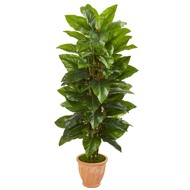 5’ Large Leaf Philodendron Artificial Plant in Terra Cotta Planter (Real Touch)