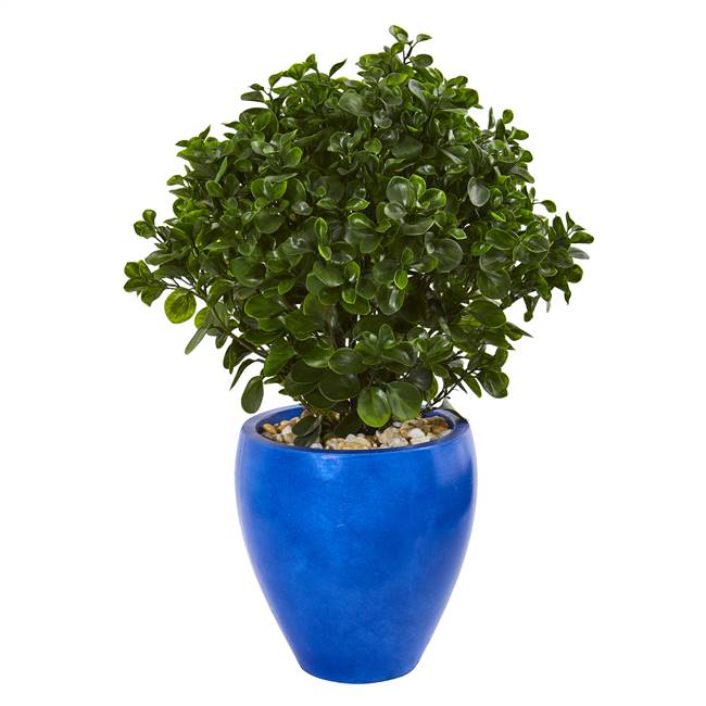 32” Peperomia Artificial Plant in Blue Planter UV Resistant (Indoor/Outdoor)