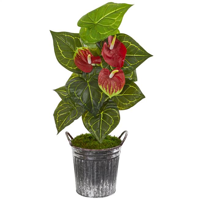 33” Anthurium Artificial Plant in Vintage Bucket (Real Touch)