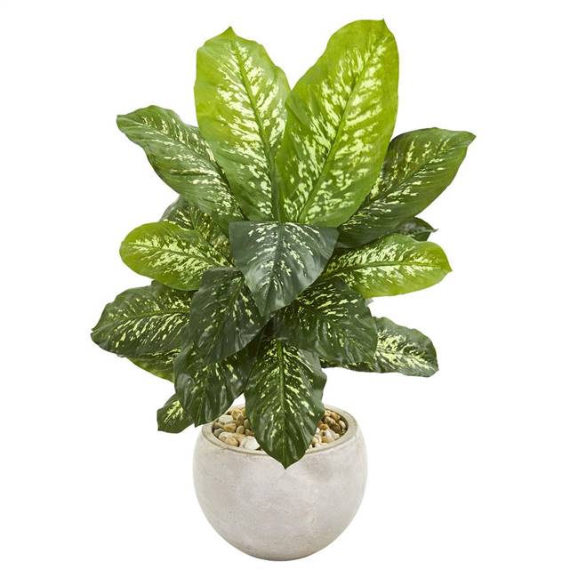 37” Dieffenbachia Artificial Plant in Bowl Planter (Real Touch)