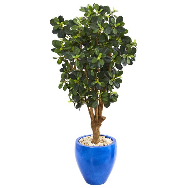 50” Panda Ficus Artificial Tree in Blue Planter