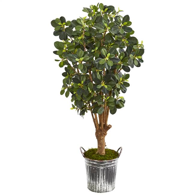 45” Panda Ficus Artificial Tree in Vintage Metal Bucket