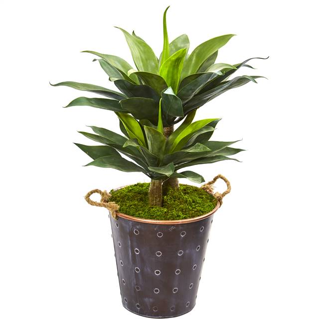 34” Double Agave Succulent Artificial Plant in Metal Planter