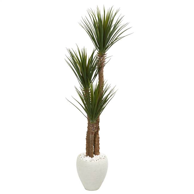 5.5’ Yucca Artificial Tree in White Planter
