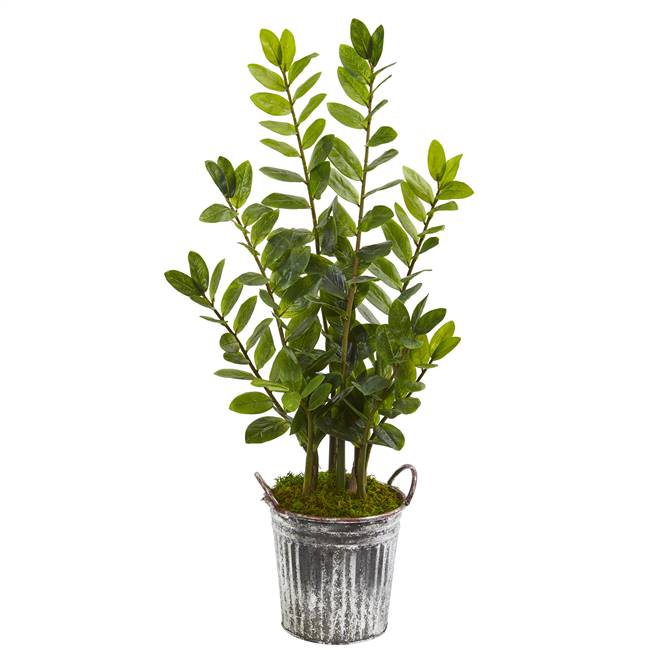 39” Zamioculcas Artificial Plant in Vintage Metal Bucket