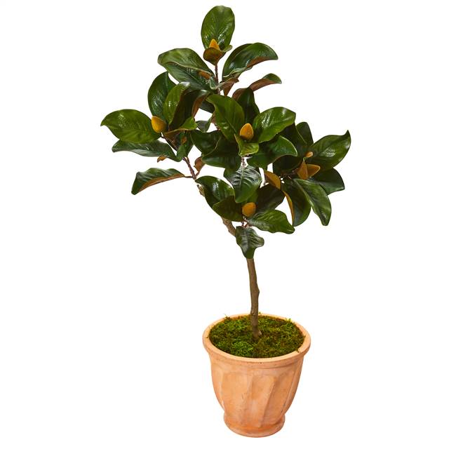 45” Magnolia Leaf Artificial Tree in Terra-cotta Planter