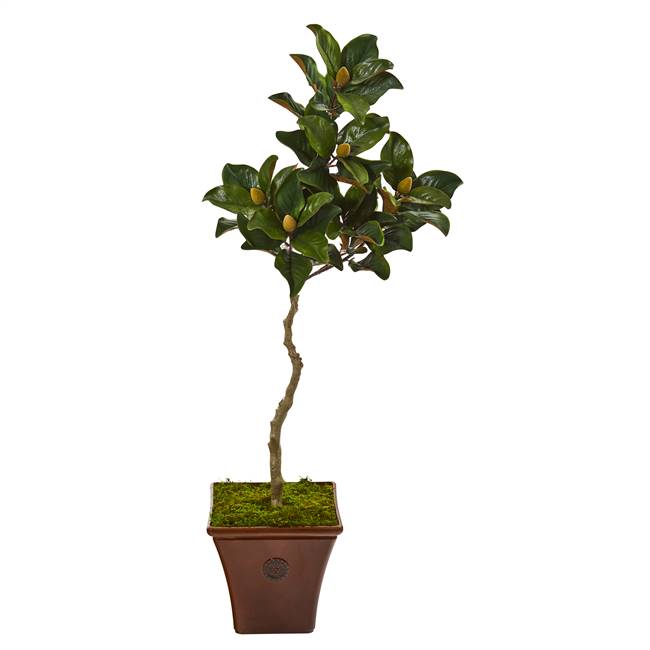 57” Magnolia Artificial Tree in Decorative Planter