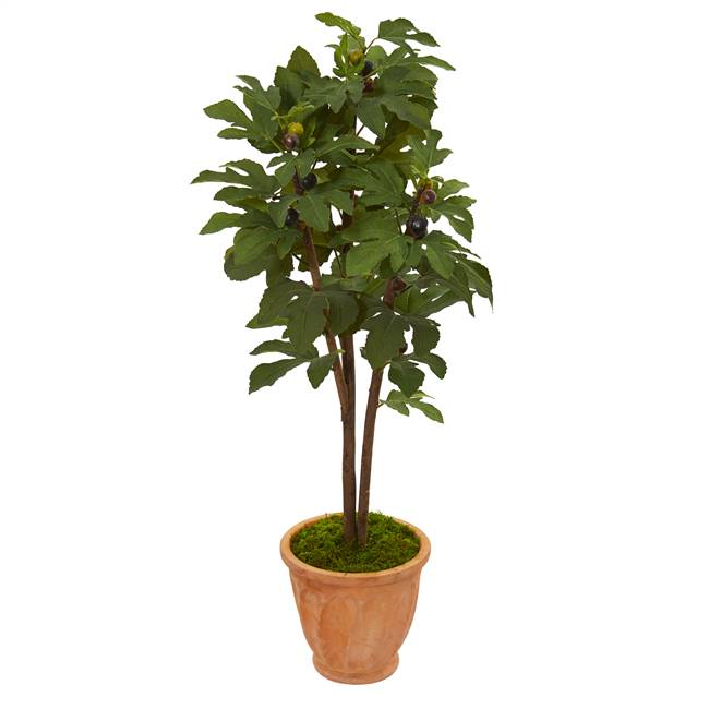 47” Fig Artificial Tree in Terra-Cotta Planter