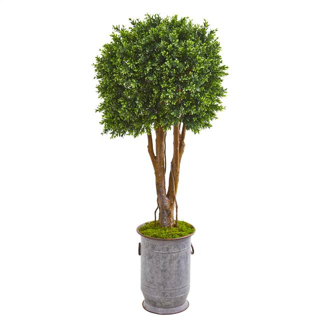 55” Boxwood Artificial Topiary Tree in Planter UV Resistant (Indoor/Outdoor)