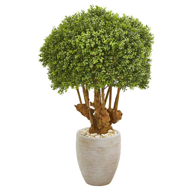 41” Boxwood Artificial Topiary Tree in Sandstone Planter (Indoor/Outdoor)