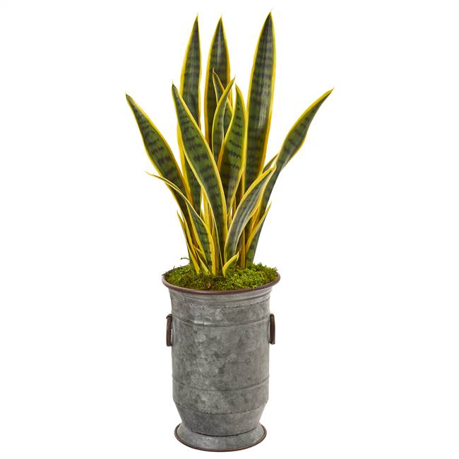 33” Sansevieria Artificial Plant in Vintage Metal Planter