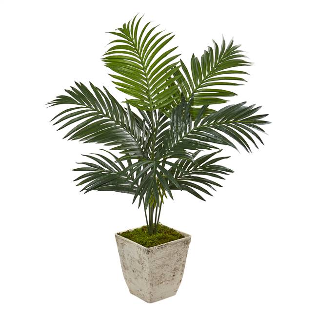 46” Kentia Artificial Palm Tree in Country White Planter