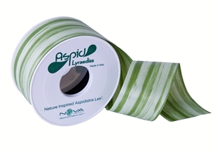 Ribbon 2''X 28Y Aspid Green Lyraediss 0228-57