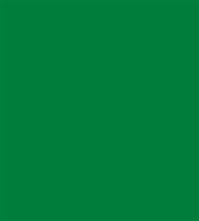 Design Master Holiday Green (12 oz)