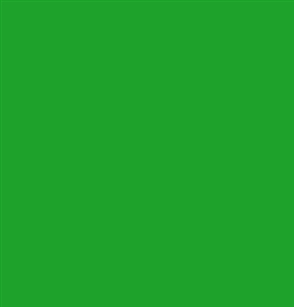 Design Master Spring Green (12 oz)